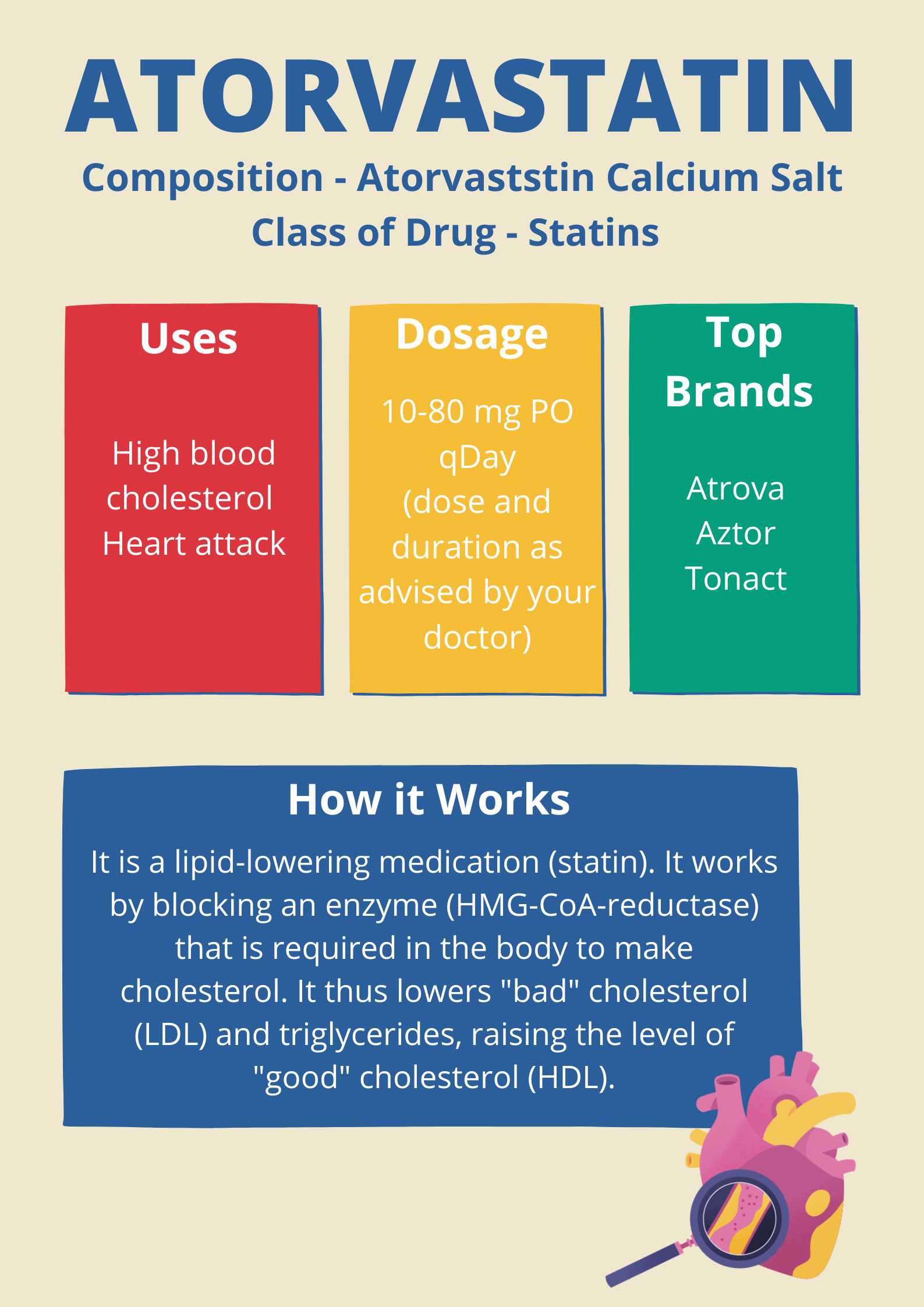 Atorvastatin Infographics - How Does It Work? - Cardiopedia